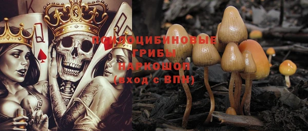 винт Балахна
