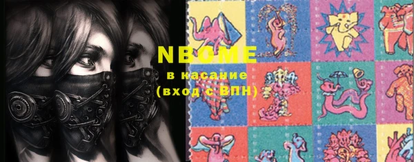 шишки Слюдянка