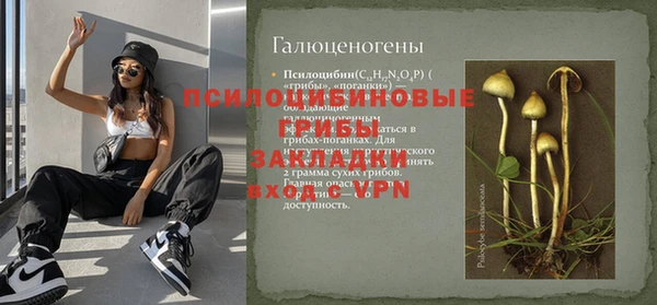 винт Балахна