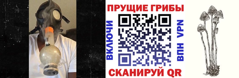 Псилоцибиновые грибы Magic Shrooms  Волчанск 